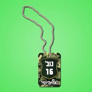 דיסקית חייל.jpg